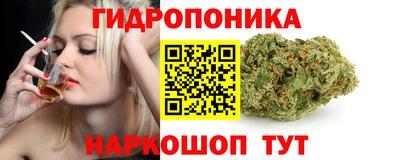 кокс Гай